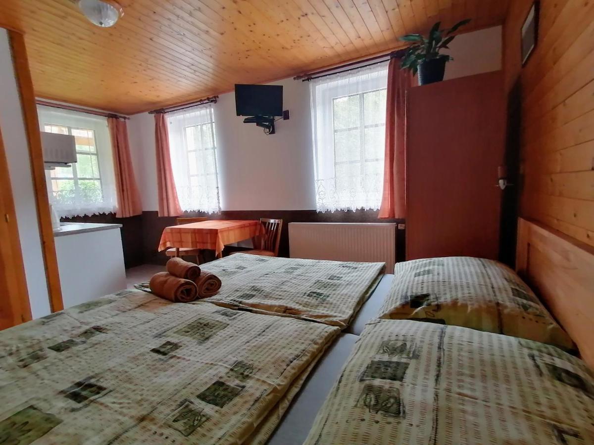 670 Pod Lysou Horou Apartment *