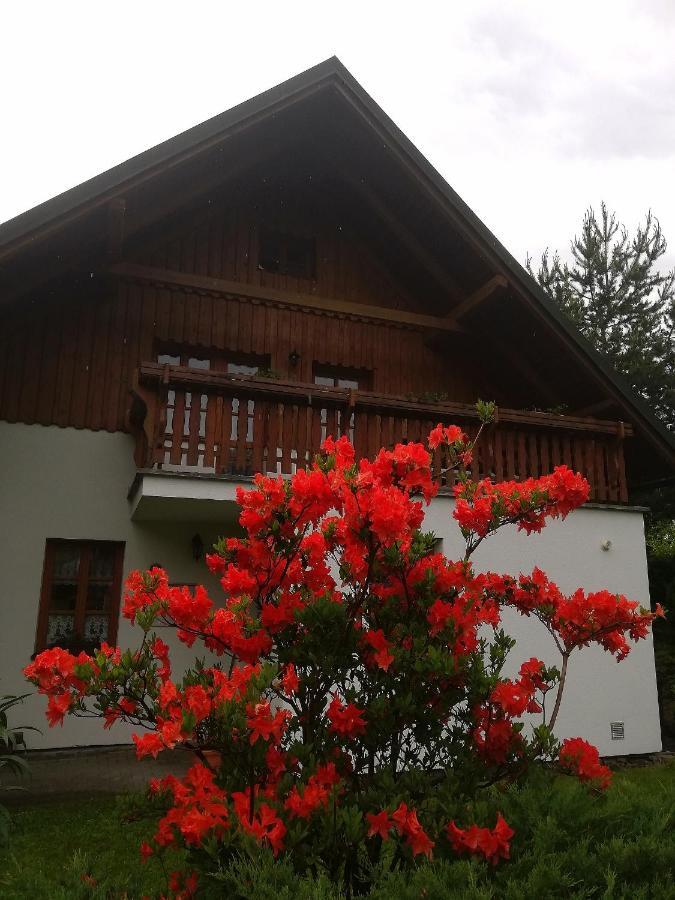 670 Pod Lysou Horou * Rokytnice nad Jizerou